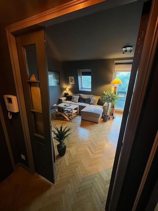 Appartement Cosy Le Chesnay Le Chesnay  Zewnętrze zdjęcie